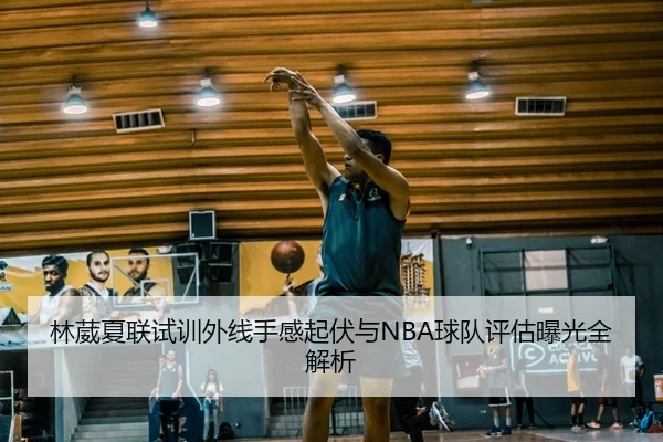 林葳夏联试训外线手感起伏与NBA球队评估曝光全解析（kaiyun）